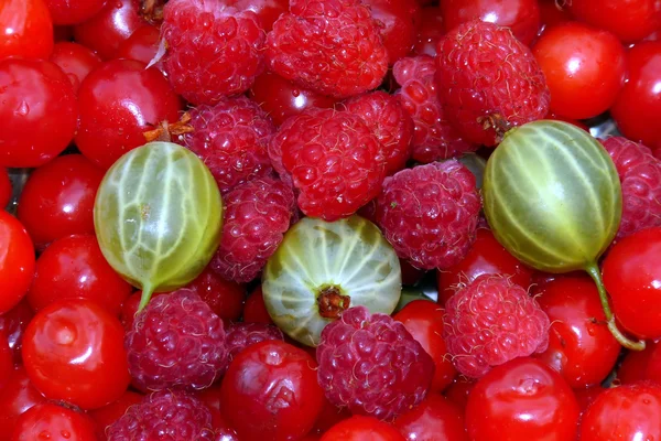Berry sfondi assortiti. Lamponi, uva spina, ciliegie — Foto Stock
