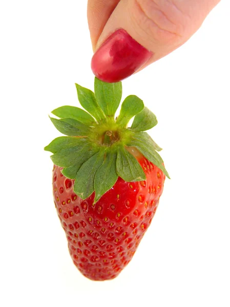 Large strawberries in a female hand isolated on white background — Stock Photo, Image