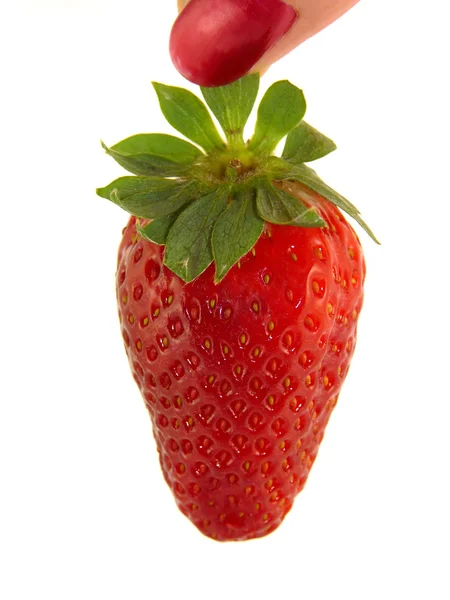 Large Strawberries Female Hand Isolated White Background — Stock Photo, Image