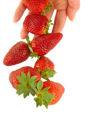 Strawberry falls on women's hands clipart