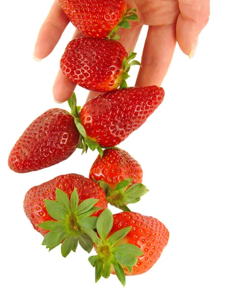 Strawberry Falls Women Hands — Stock Photo, Image