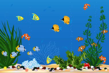 Aquarium clipart