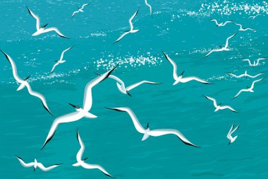 Vector illustration of gulls flying over the sea clipart