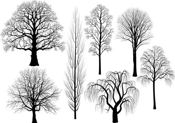 Collection Trees Black — Stock Vector