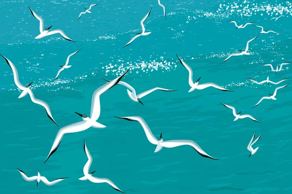 海鸥在海上飞行的矢量插画 — 图库矢量图片