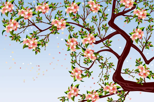 Цветение яблони — стоковый вектор