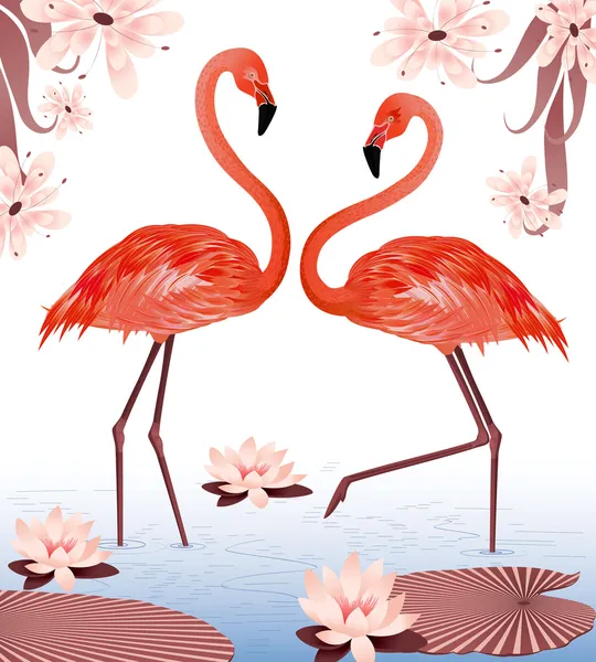 Flamingos — Vetor de Stock