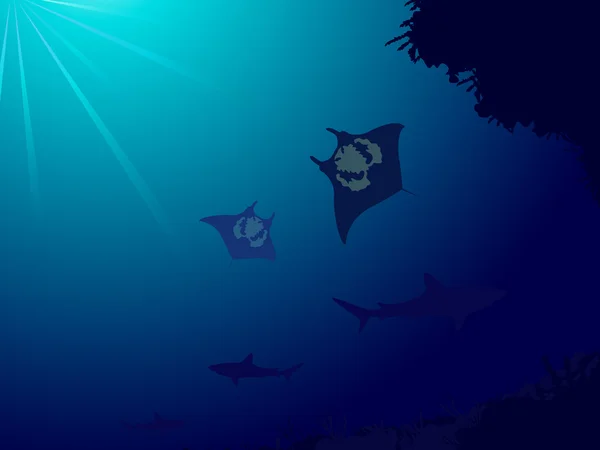 Mondo sottomarino con barriera corallina, squali e manta ray — Vettoriale Stock