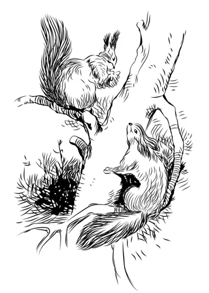 Grafika wektorowa wiewiórki na drzewo — Wektor stockowy