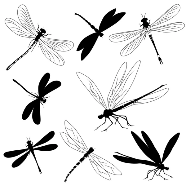 Conjunto de siluetas de libélulas, tatuaje — Vector de stock