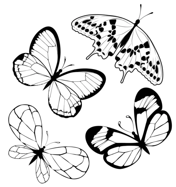 Set Black White Butterflies Tattoo — Stock Vector