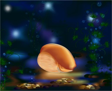 Underwater world, seashell and plants clipart