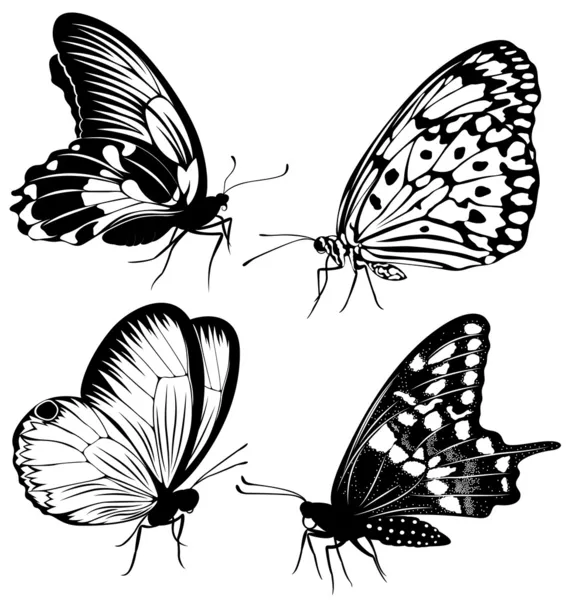 Set farfalle bianche nere di un tatuaggio — Vettoriale Stock