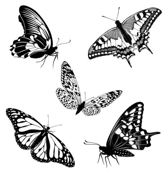 Set black white butterflies of a tattoo — Stock Vector