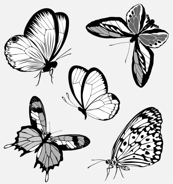 Zestaw czarno białe motyle tatuaż — Wektor stockowy