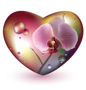 Glass heart with orchid flower. EPS 10 clipart