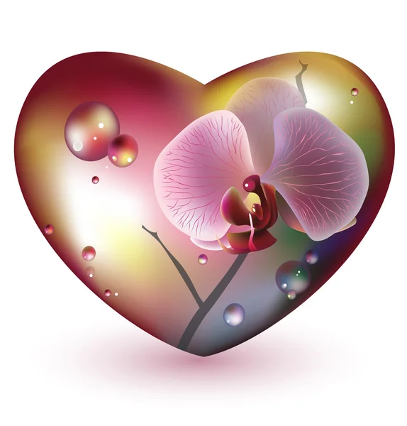 Coração Vidro Com Flor Orquídea Eps —  Vetores de Stock