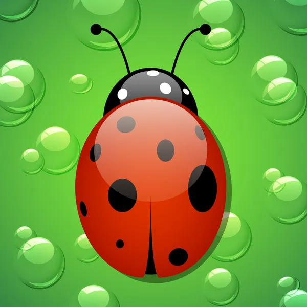 Ladybird — Stockový vektor