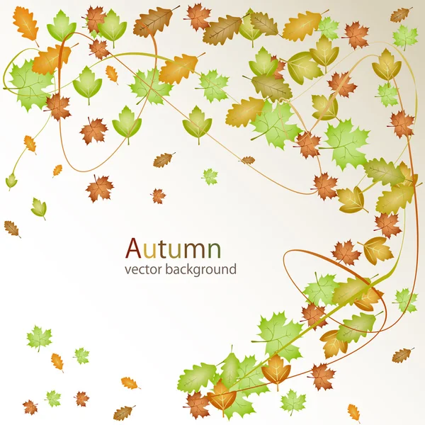 sonbahar vektör arka plan