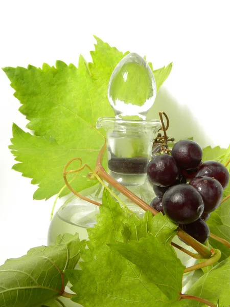 वाईन कॅरेफ आणि तरुण द्राक्ष शाखा — स्टॉक फोटो, इमेज