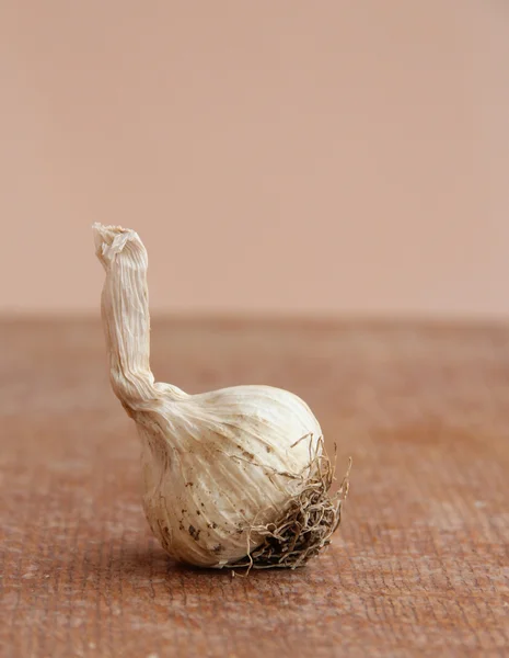 stock image Macro view of garlic