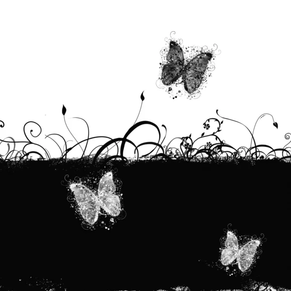 迷人的蝴蝶 — 图库照片