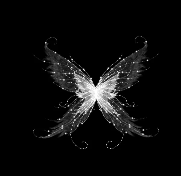 추상 매력적인 나비 — 스톡 사진