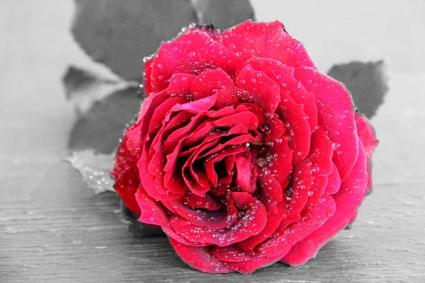 Rote Rose auf einer hölzernen Textur — Stockfoto