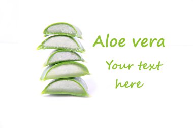 Aloe vera clipart