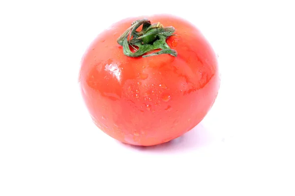 Tomate suculento — Fotografia de Stock