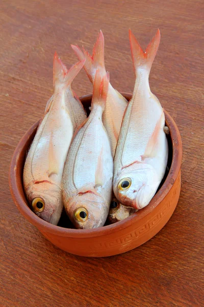 Frischer Fisch Auf Dem Holztisch Gemeiner Pandora Fisch Pagellus Erythrinus — Stockfoto