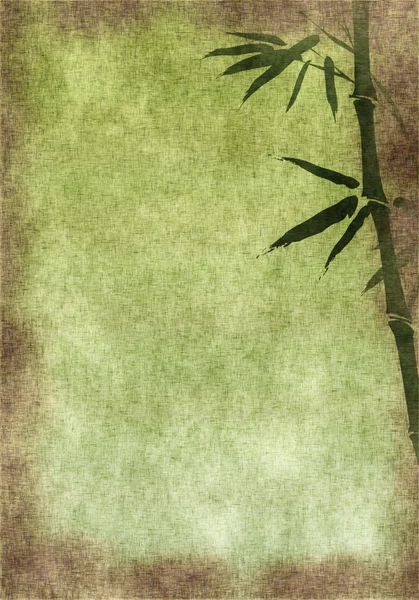 Papel viejo con ramas de bambú — Foto de Stock