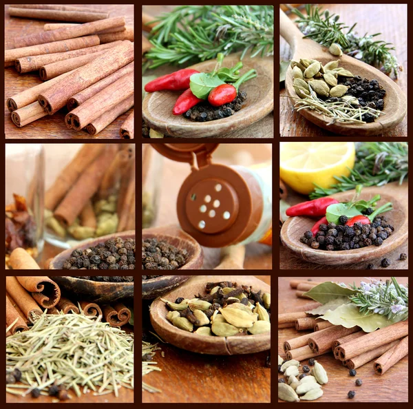 Makro Zobrazení Různých Koření Dřevěné Background Collage — Stock fotografie