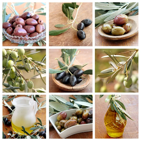 Olijven en olijfolie collage — Stockfoto