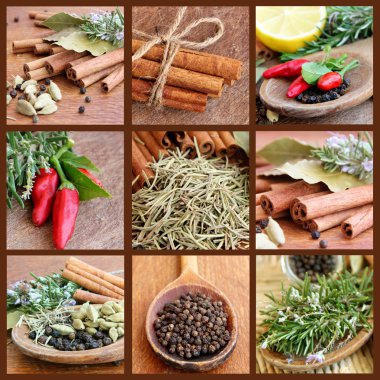 Macro view of the different spices on wooden background.Collage clipart
