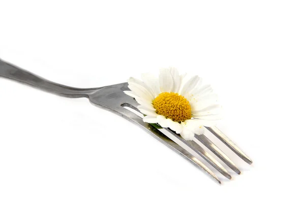 Flower and fork — Stock Photo, Image