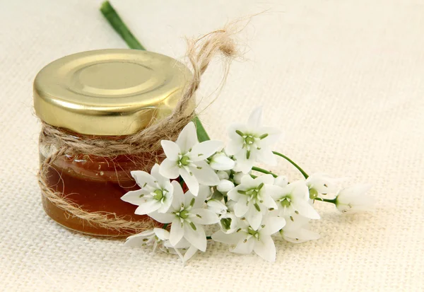 Miele con fiore — Foto Stock