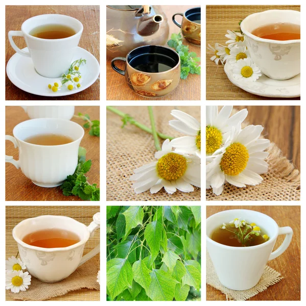 Bylinkový čaj — Stock fotografie