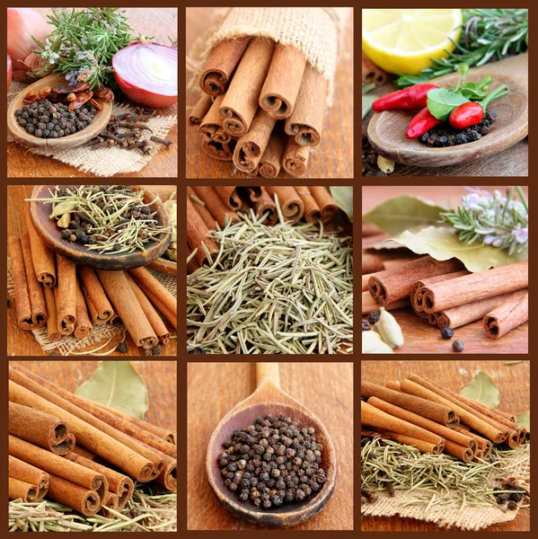 Collage med kryddor — Stockfoto