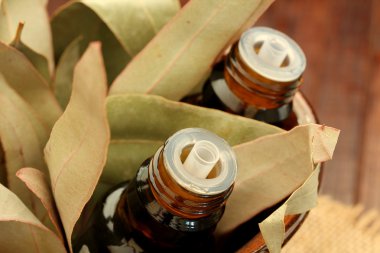 Bottles of essential oil and gum leaves(eucalyptus leaf) clipart