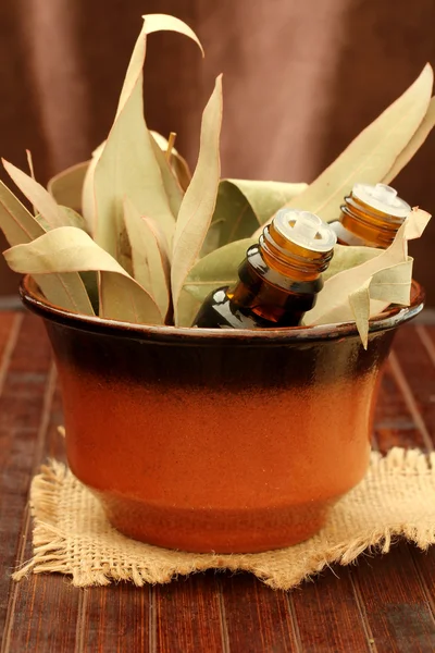 Botellas de aceite esencial y hojas de goma (hoja de eucalipto) ) —  Fotos de Stock