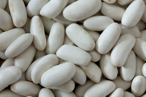 Makro zobrazení fazolí — Stock fotografie