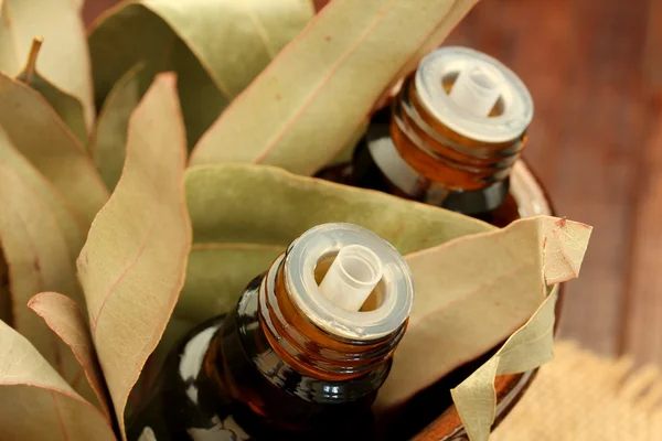 Botellas de aceite esencial y hojas de goma (hoja de eucalipto) ) Fotos de stock
