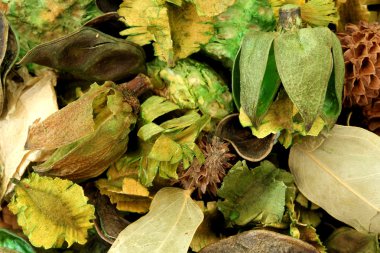 Potpourri background clipart