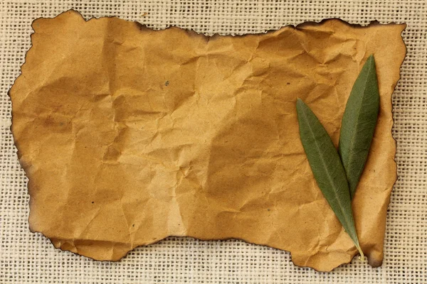 Бумажная бирка на натуральном мешковине с оливковой ветвью — стоковое фото