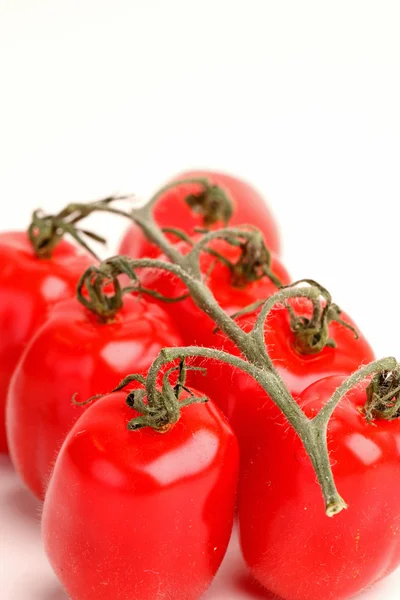 番茄被隔绝在白色背景 — 图库照片