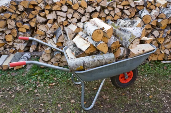 Wheelbarrow with Birch firewood — Stockfoto
