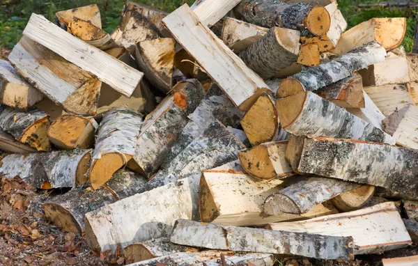 Berk brandhout — Stockfoto