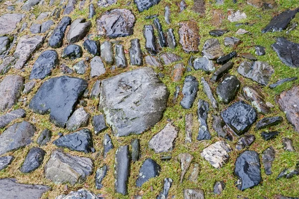 Pedra e grama fundo — Fotografia de Stock