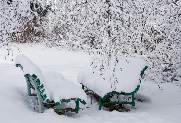 Две скамейки в зимнем парке — стоковое фото